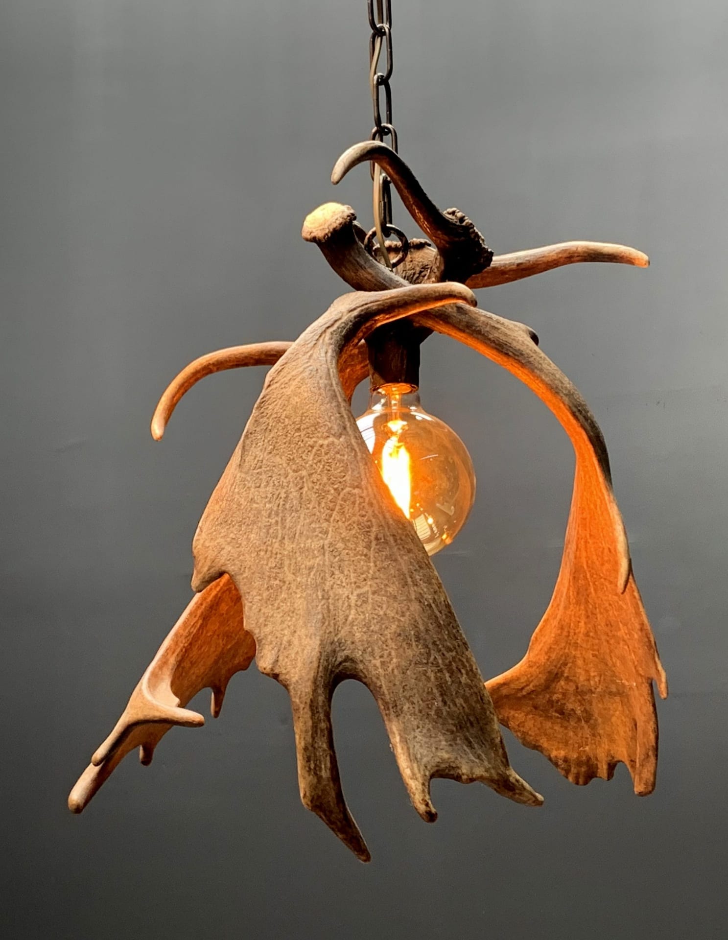 Modern pendant lamp made of fallow deer antlers XL