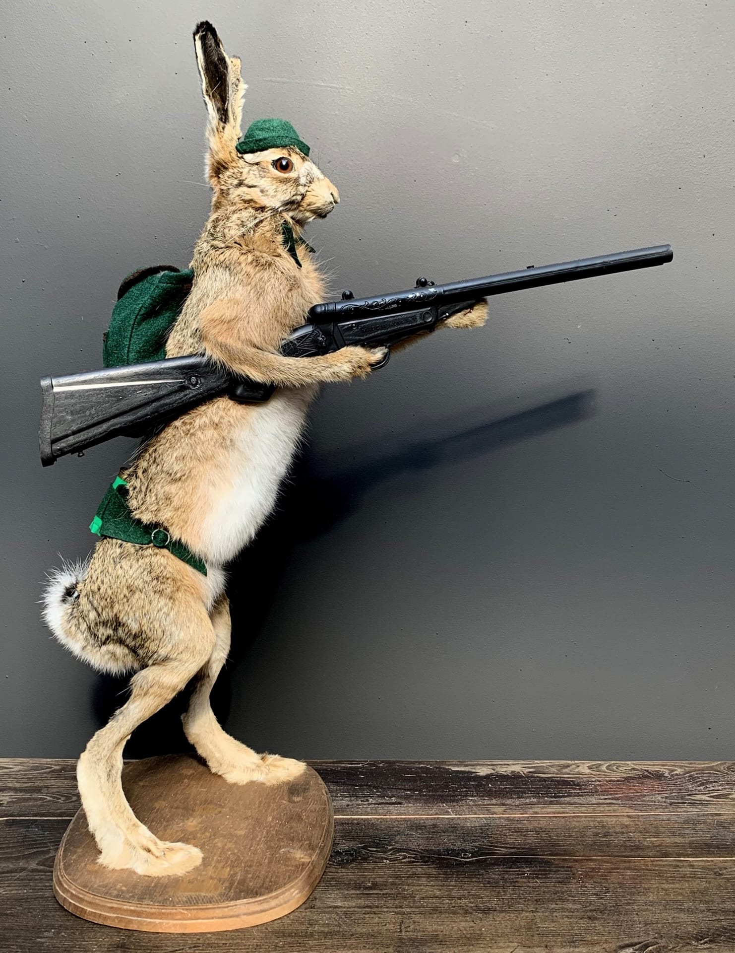 Ausgestopfter Hase mit Gewehr