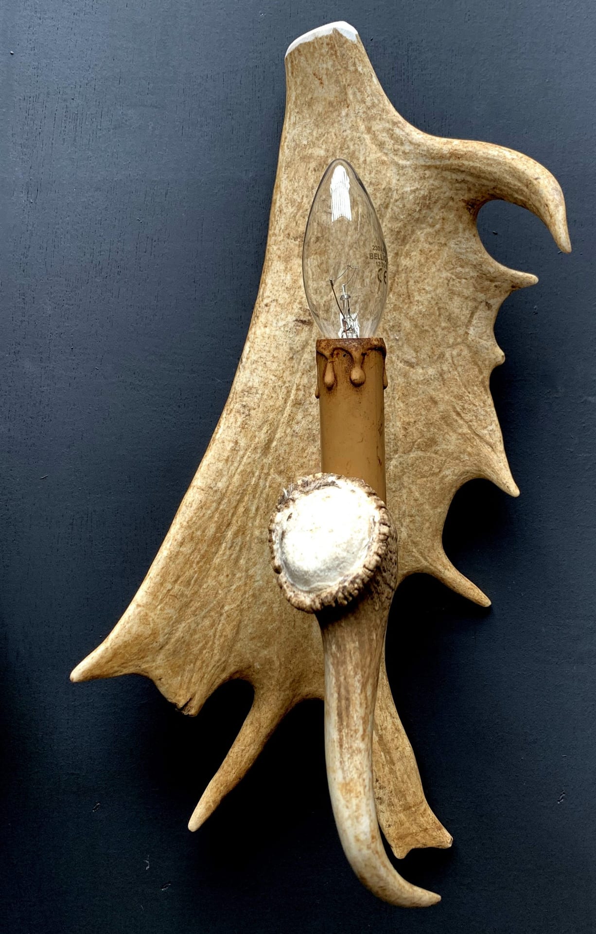 Wandlamp van gewei