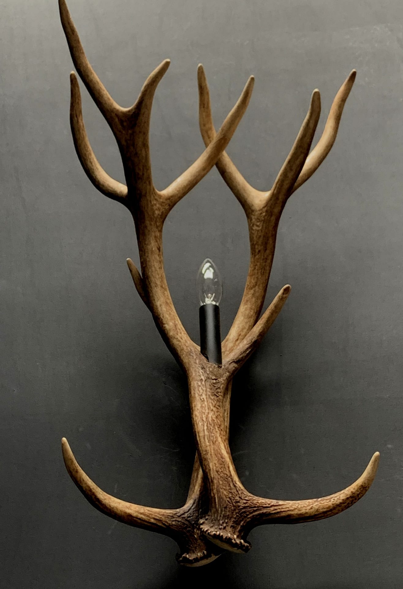 Wandlamp edelhert