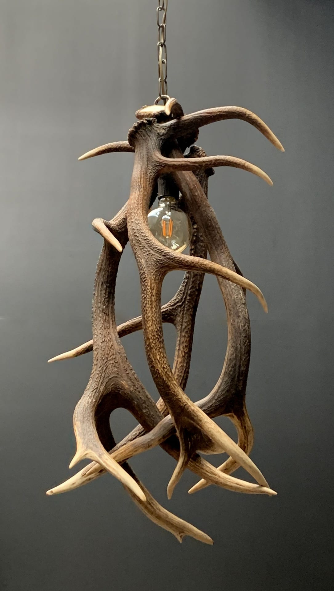 Hanglamp van edelhertgewei