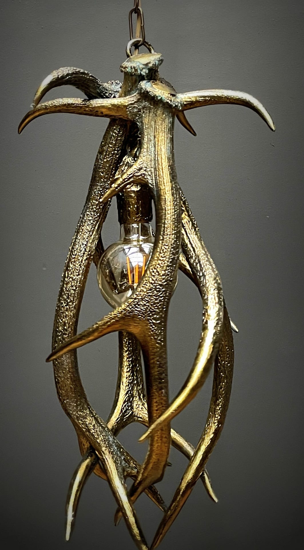 Geweih Lampe Kupfer