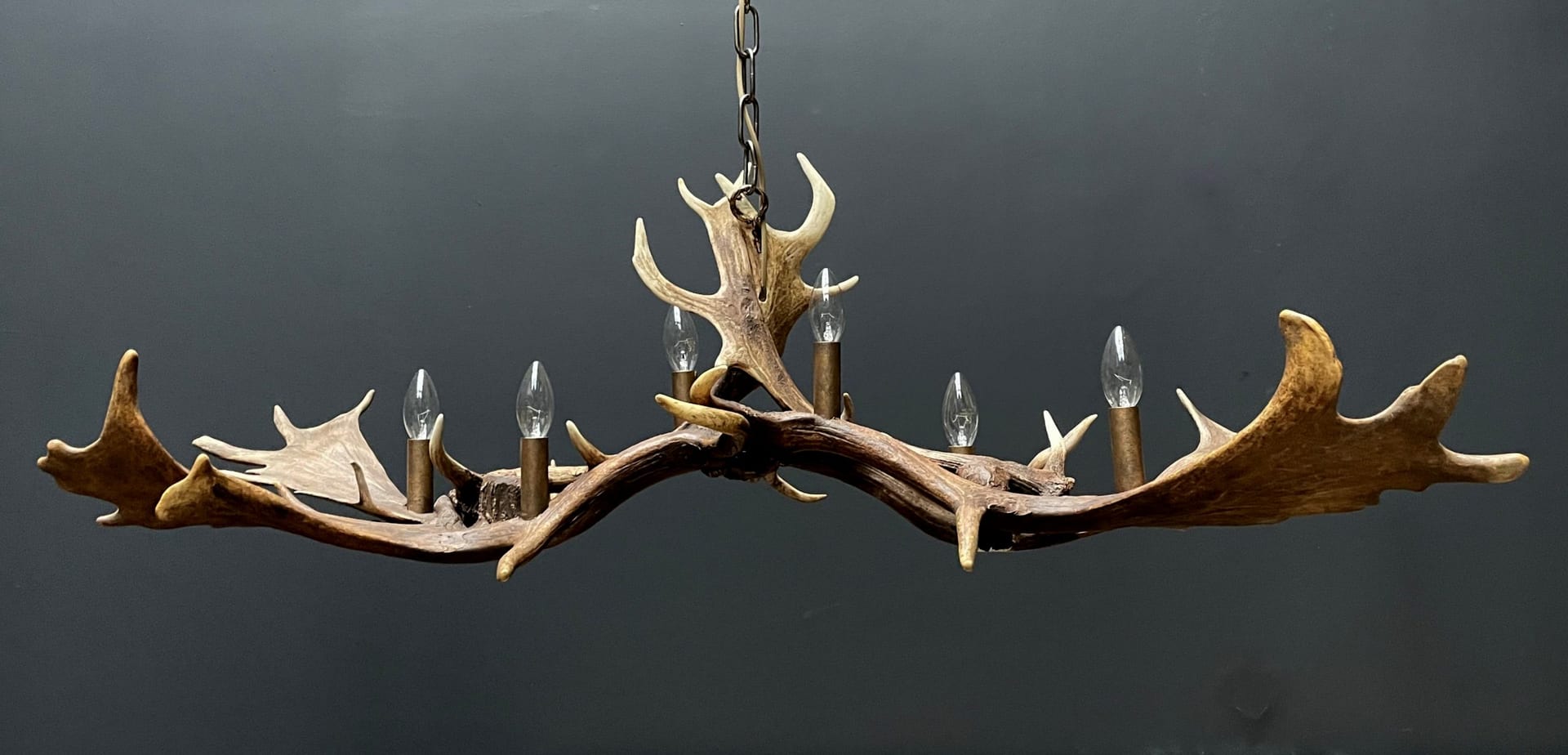Antler lamp