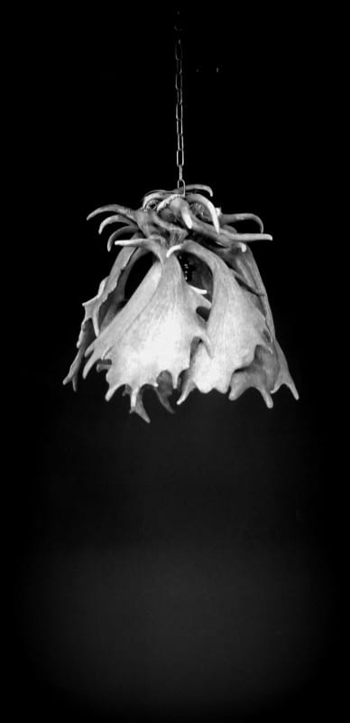 Antler lamp