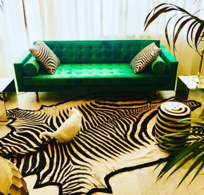 Cool interior of one of our customers