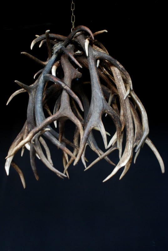 Gewei hanglamp