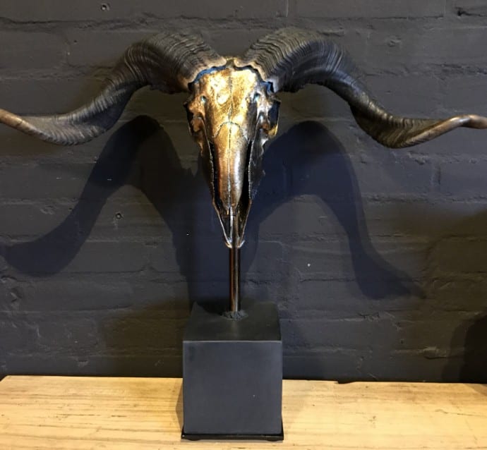 Gemetalliseerde schedel van een ram
