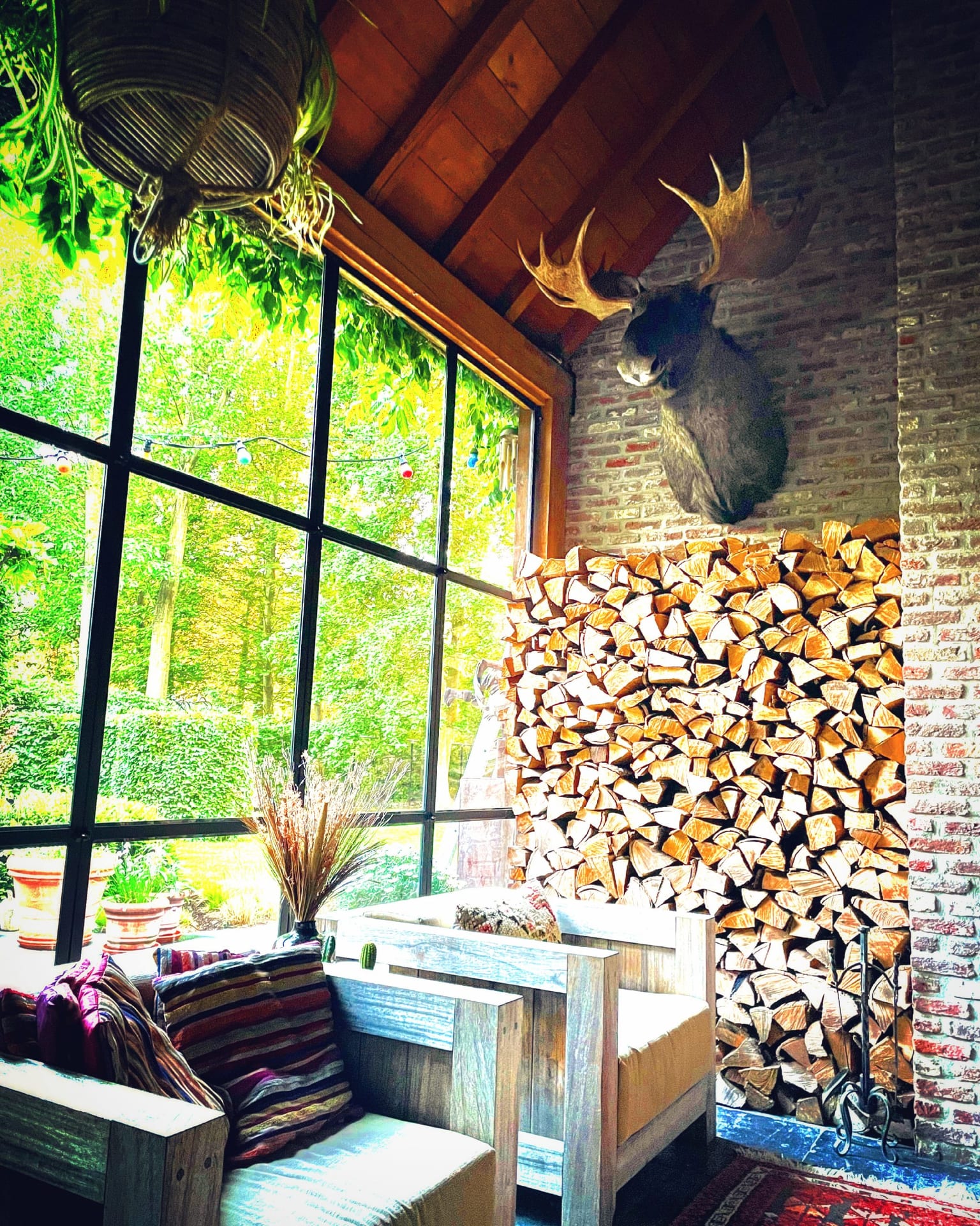 Elchkopf im Gartenzimmer