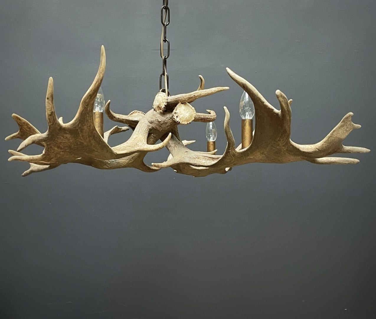 Lampe vom Damhirsch Geweih