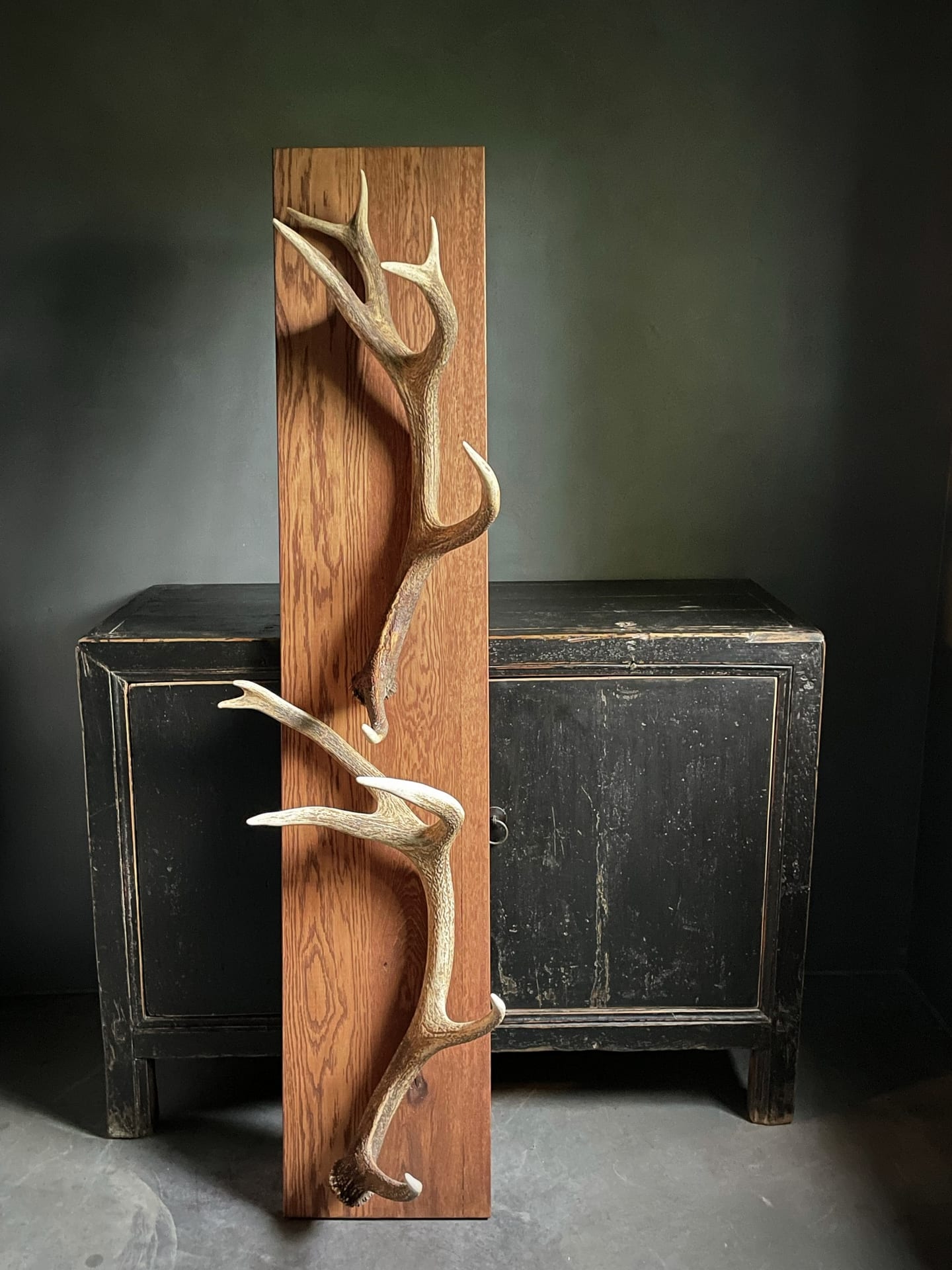 Garderobe aus Geweih