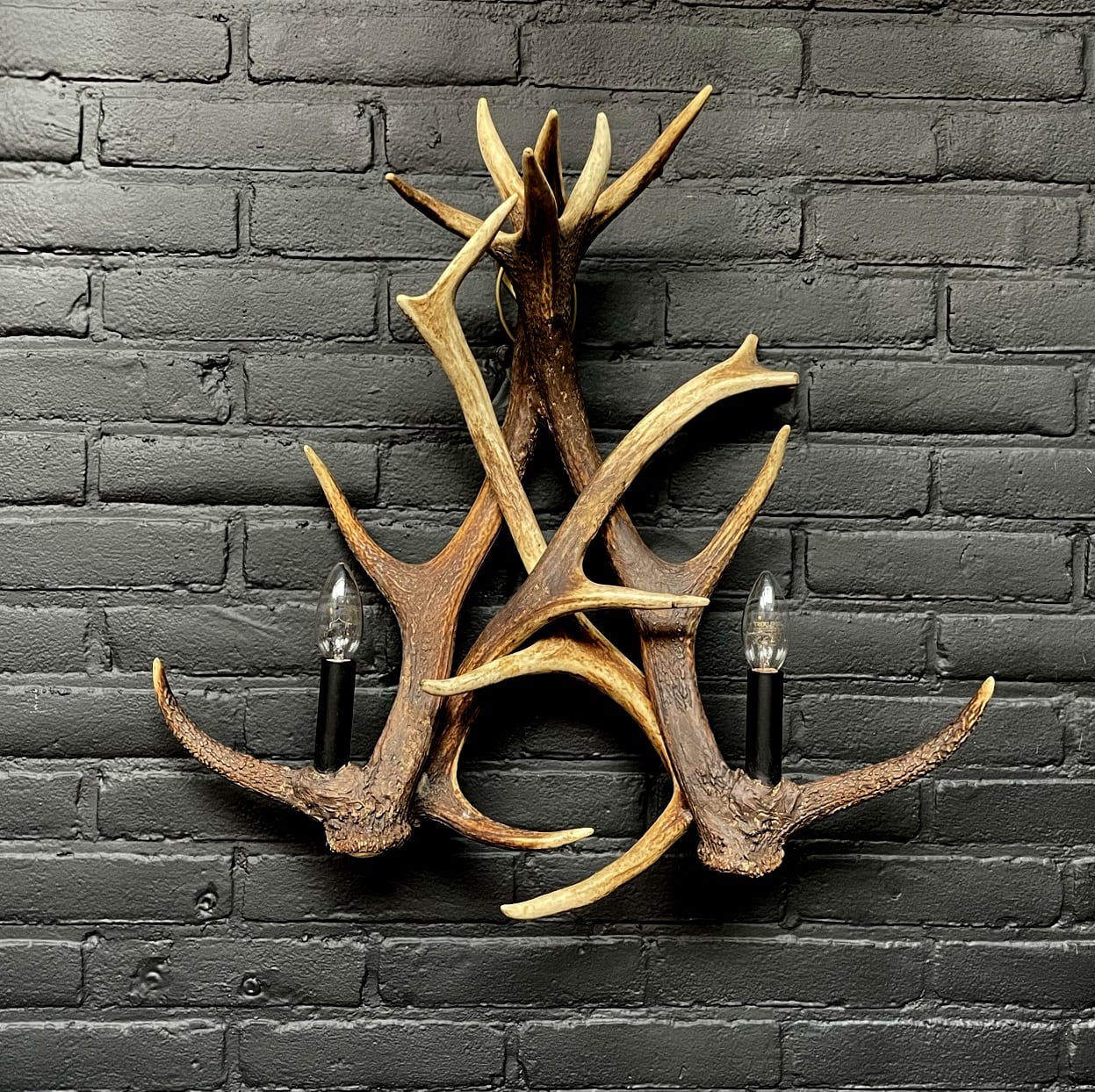 Wandlamp van gewei