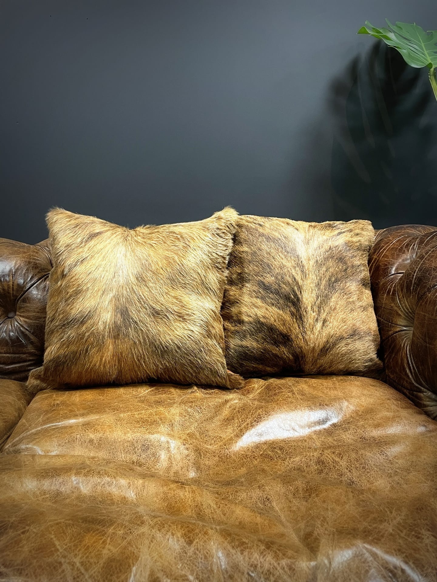 Подушка из коровьей шкуры