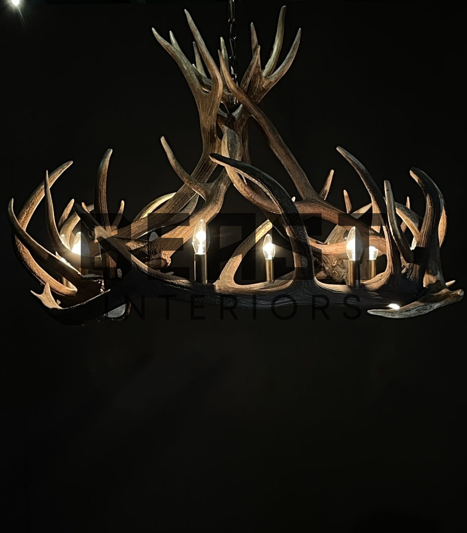 Antler lamp