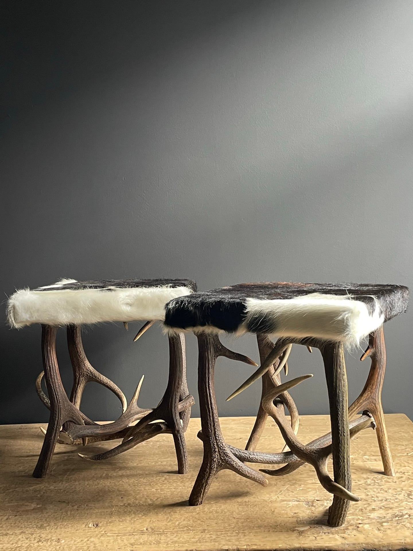 Antler stool