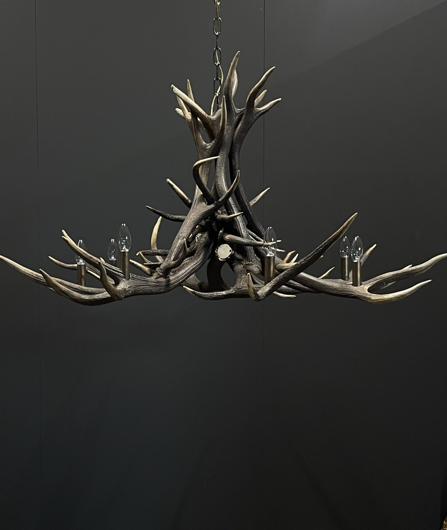 Antler lamp star