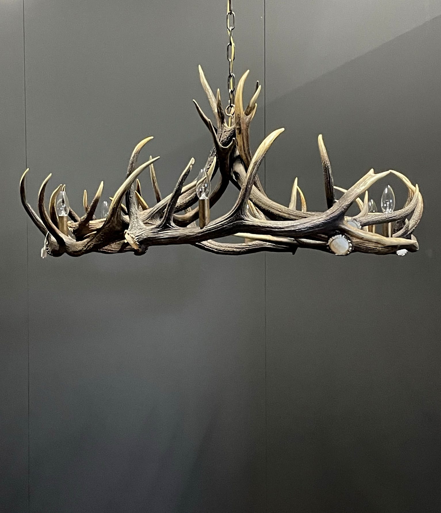Geweihlampe Rothirsch