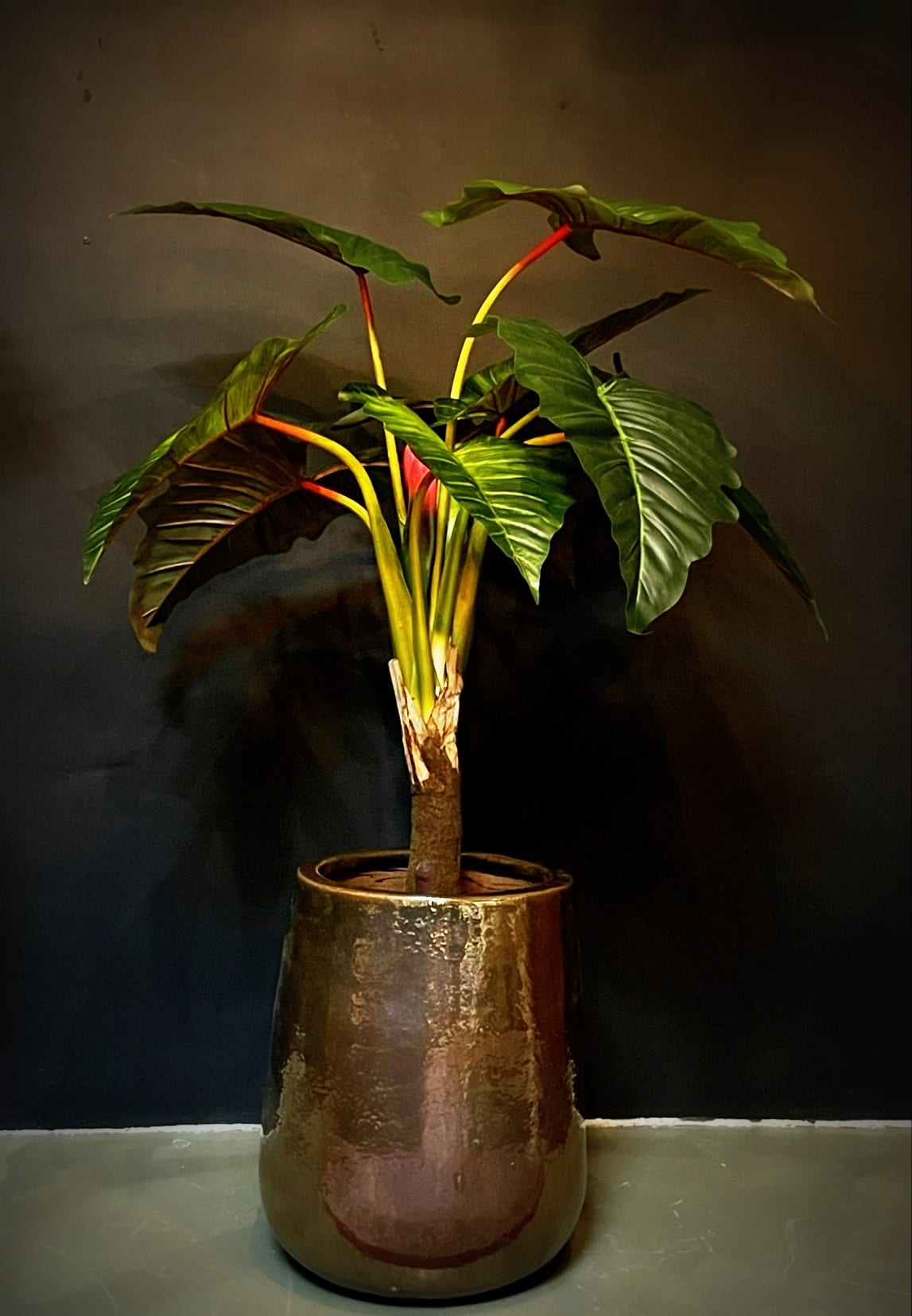 Artificial plant Calocasia tree