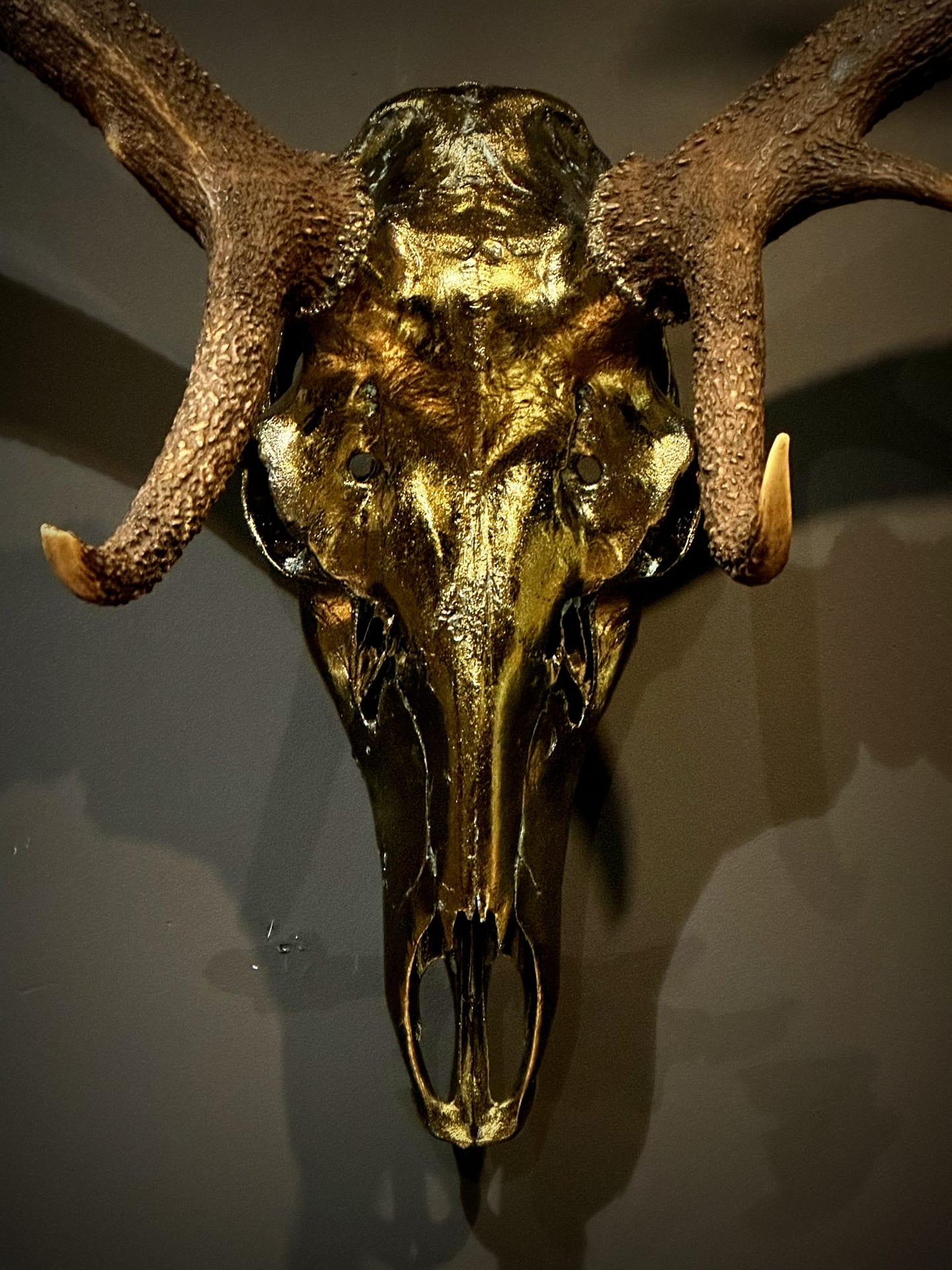 Bronze metallisiertes Geweih eines Rothirsch