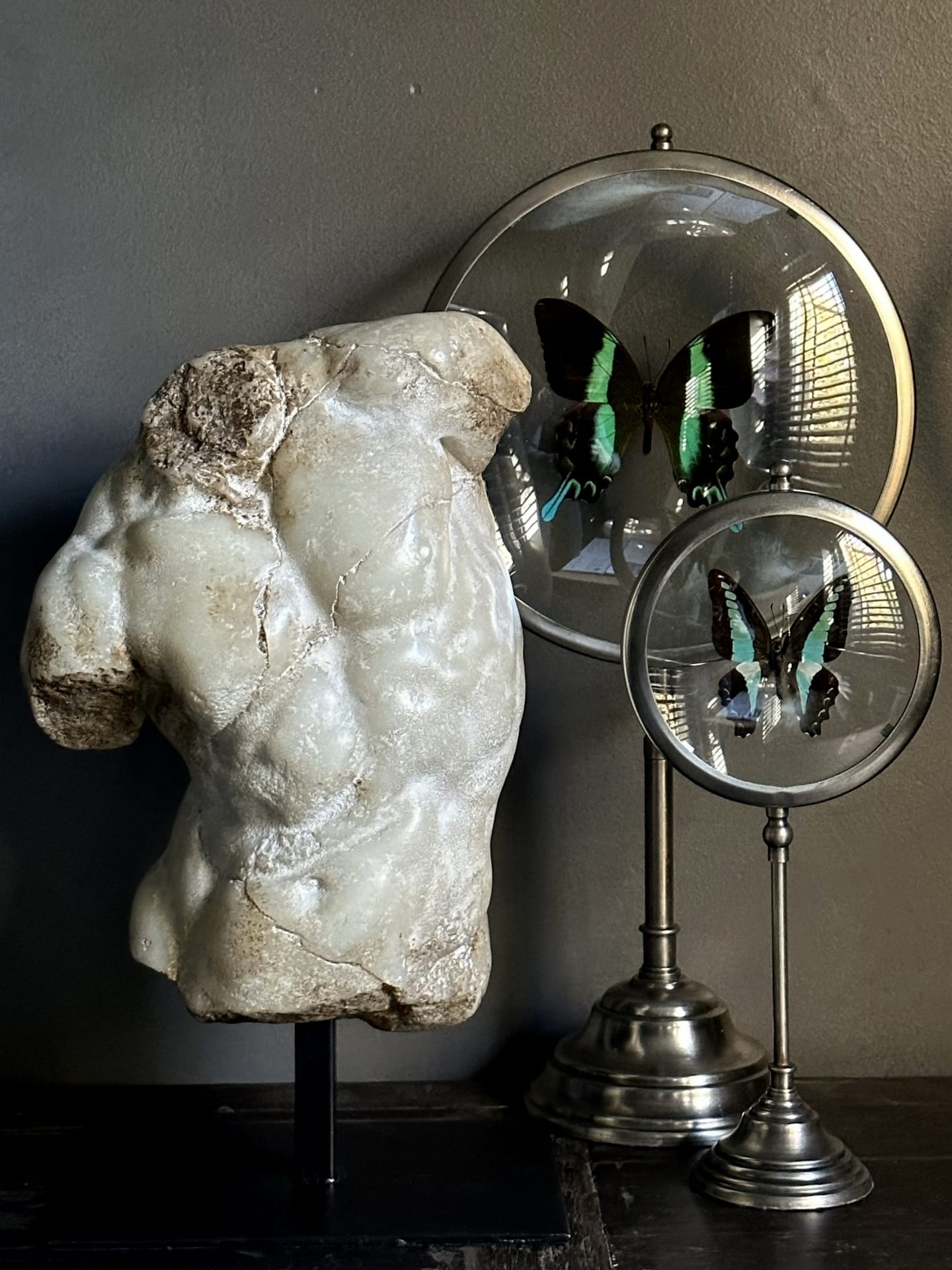Apollo Torso