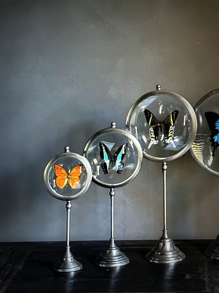Ensemble de 3 papillons sur socle classique (M)