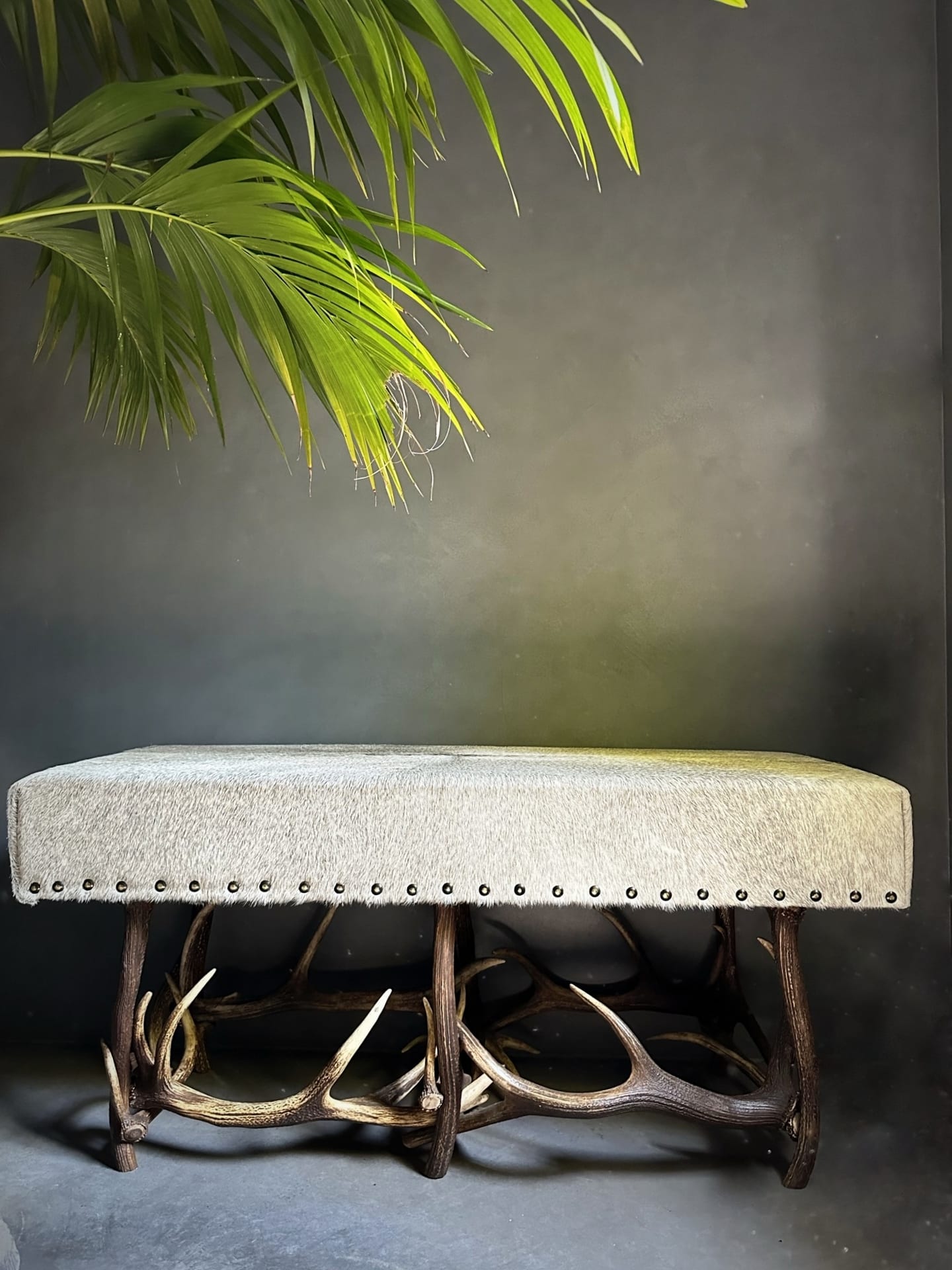 Antler bench
