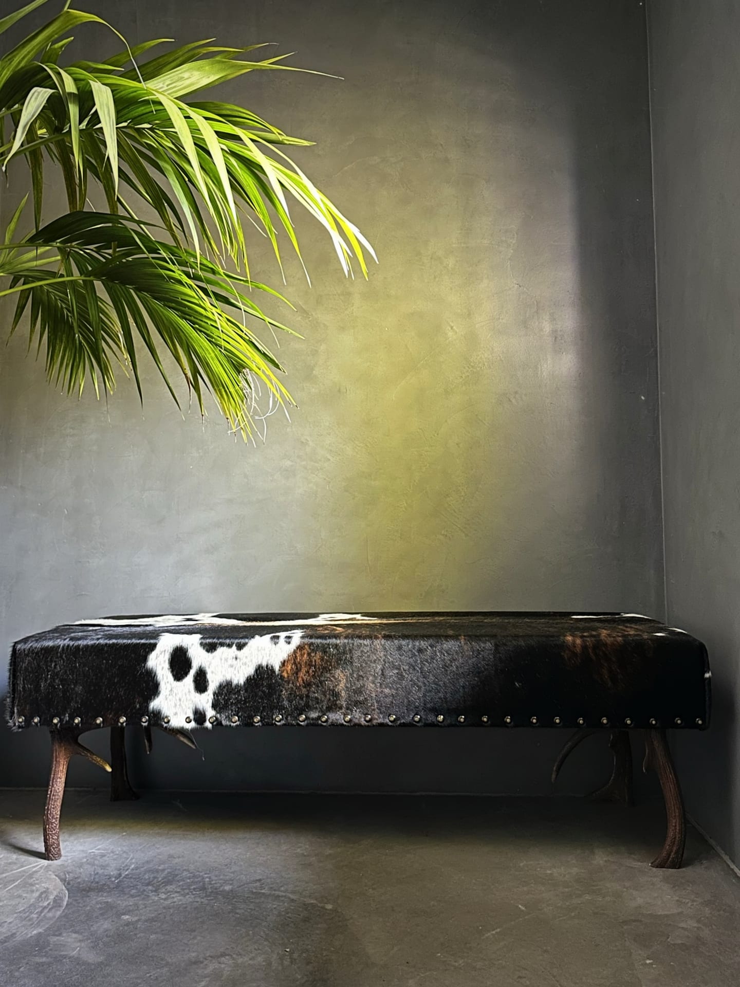 Antler bench
