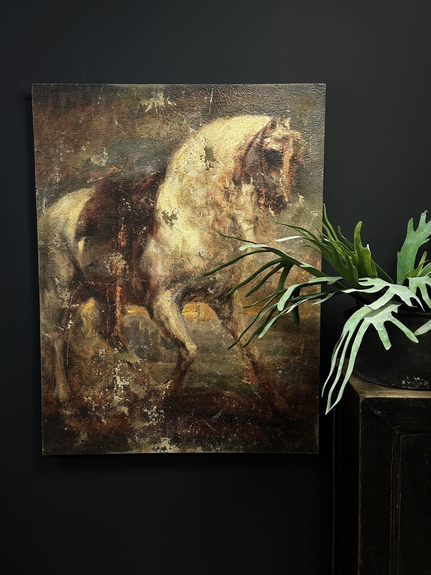 Gemälde. Ein graues Pferd - Anthony van Dyck