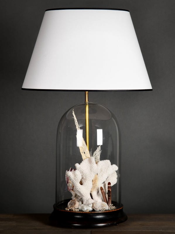Lampe in Glasglocke mit Muscheln