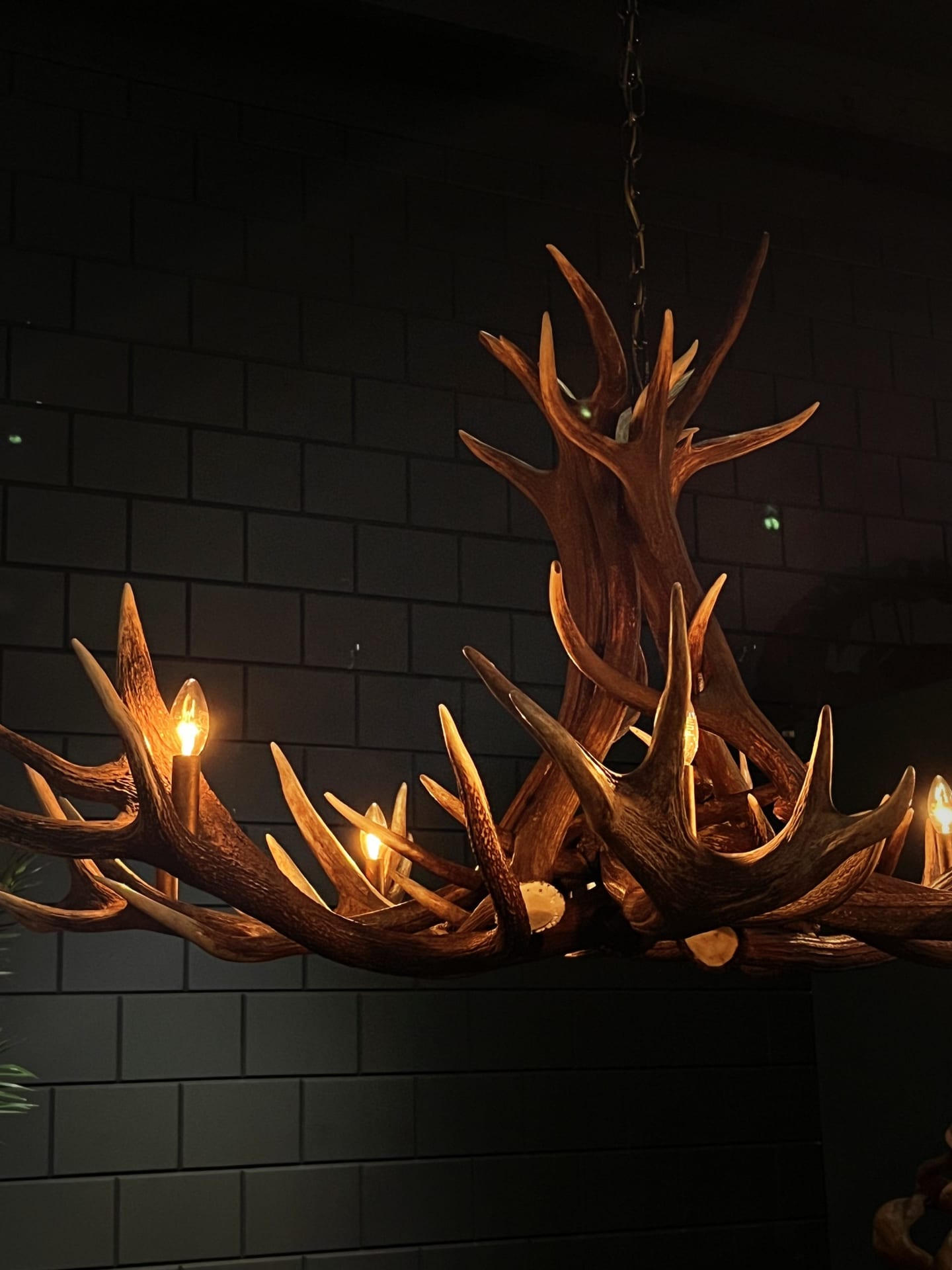 Antler lamp star XL