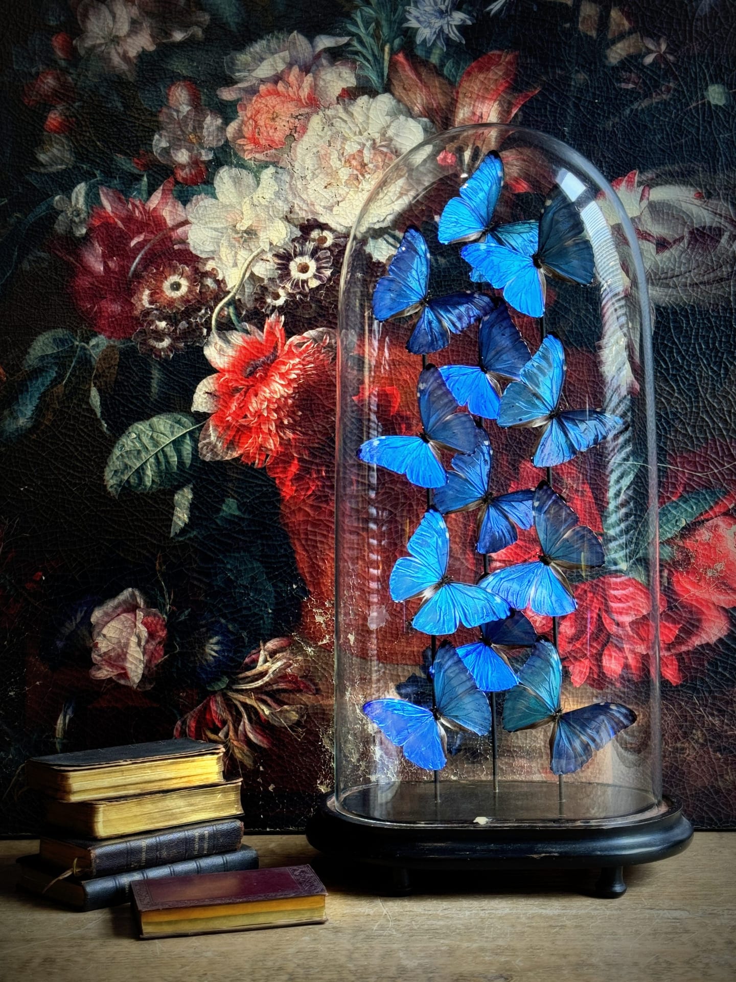 Antike Glasglocke mit Morpho Adonis