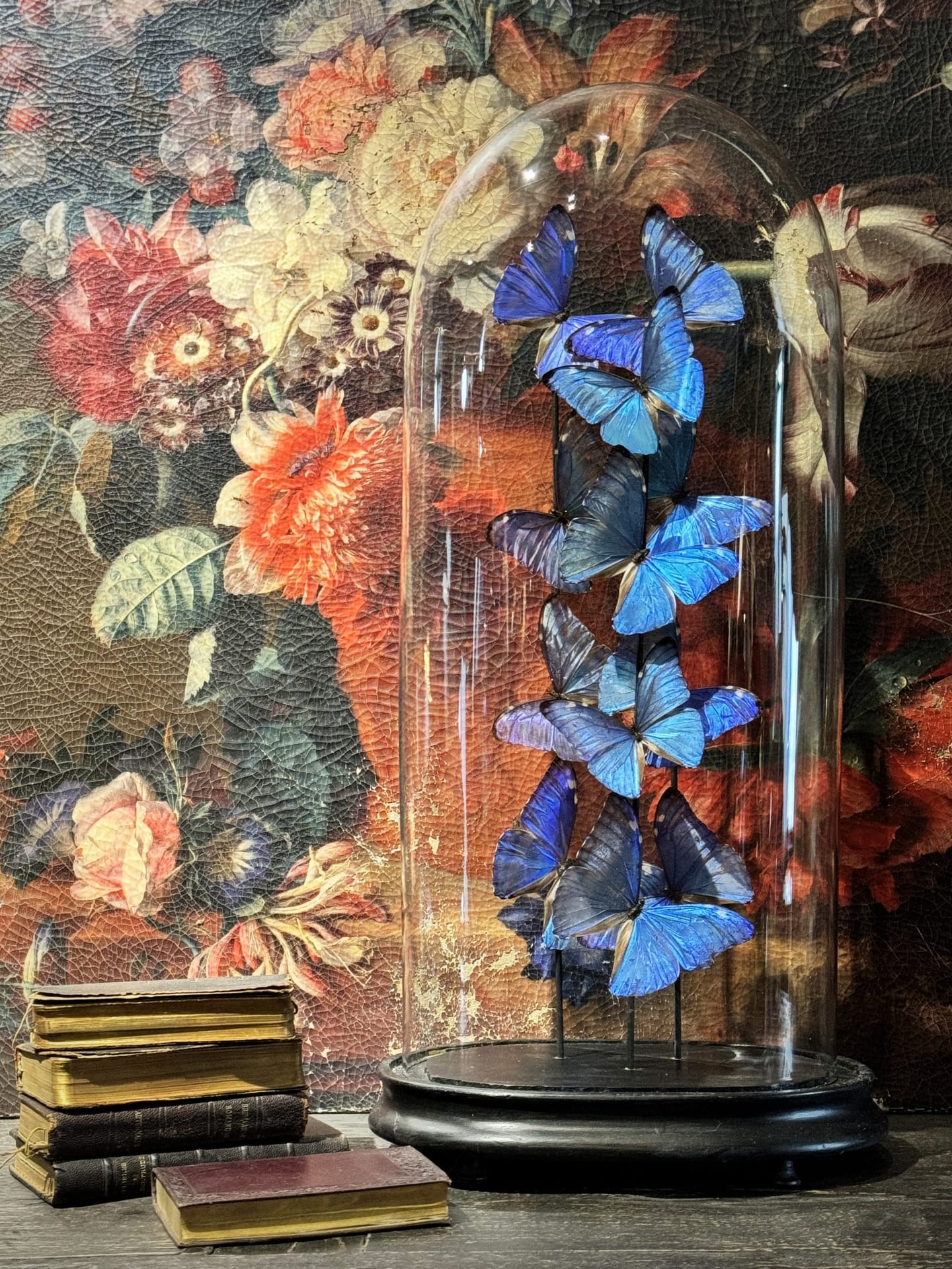 Antike Glasglocke mit Morpho Adonis
