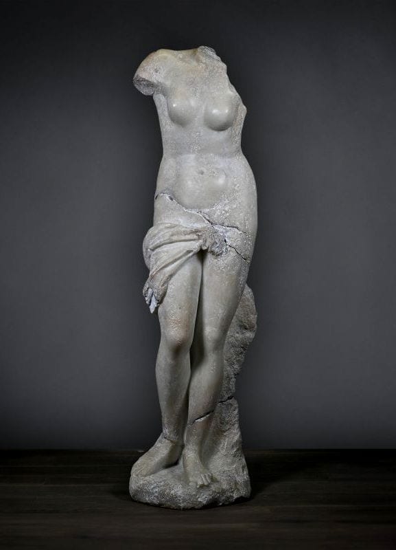 Draped Venus XL