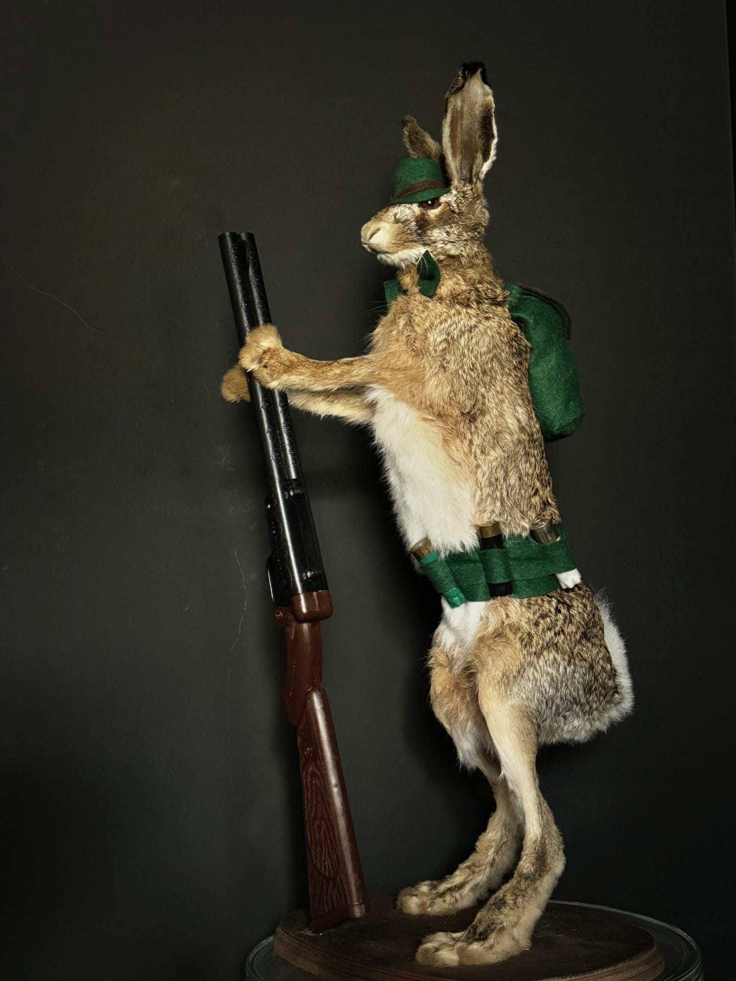 Ausgestopfter Hase mit Gewehr