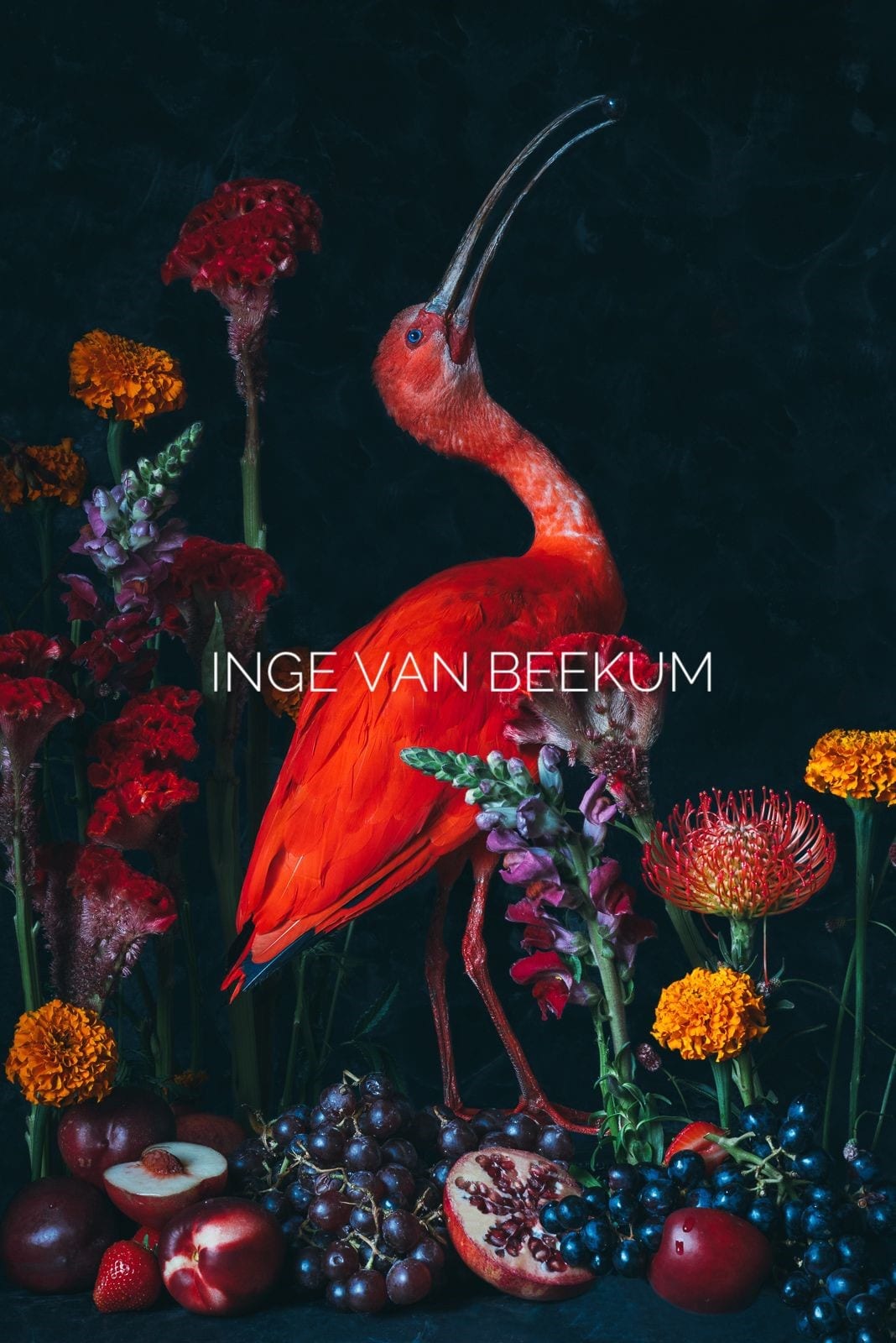 Photo d'art « BLOOM WHERE YOU ARE ».