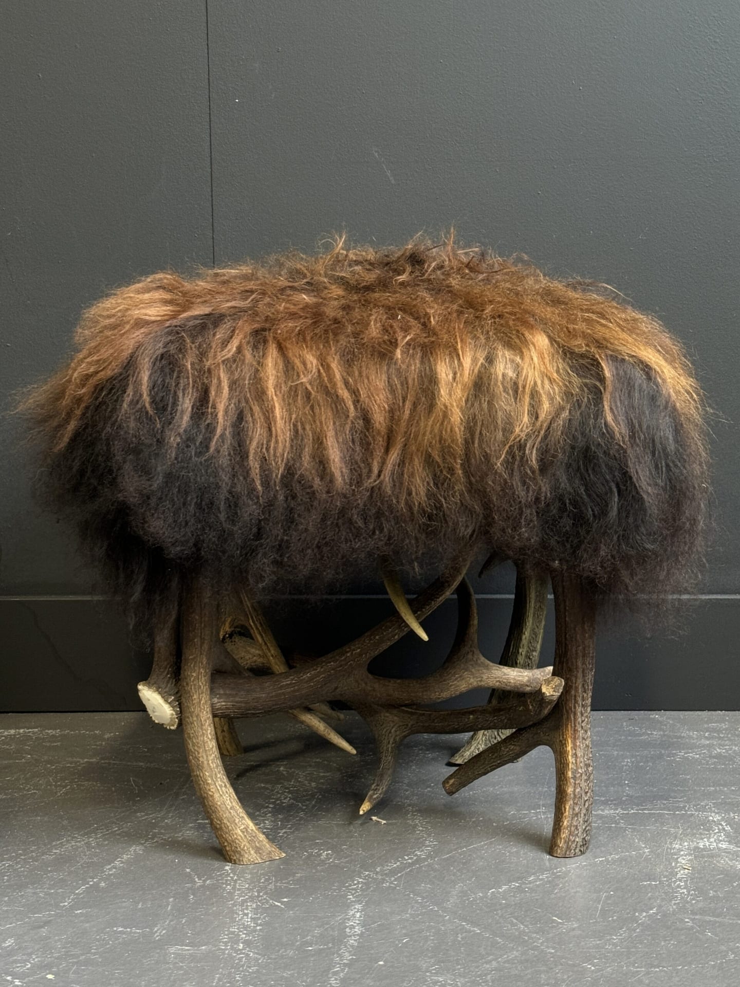Antler Stool sheep