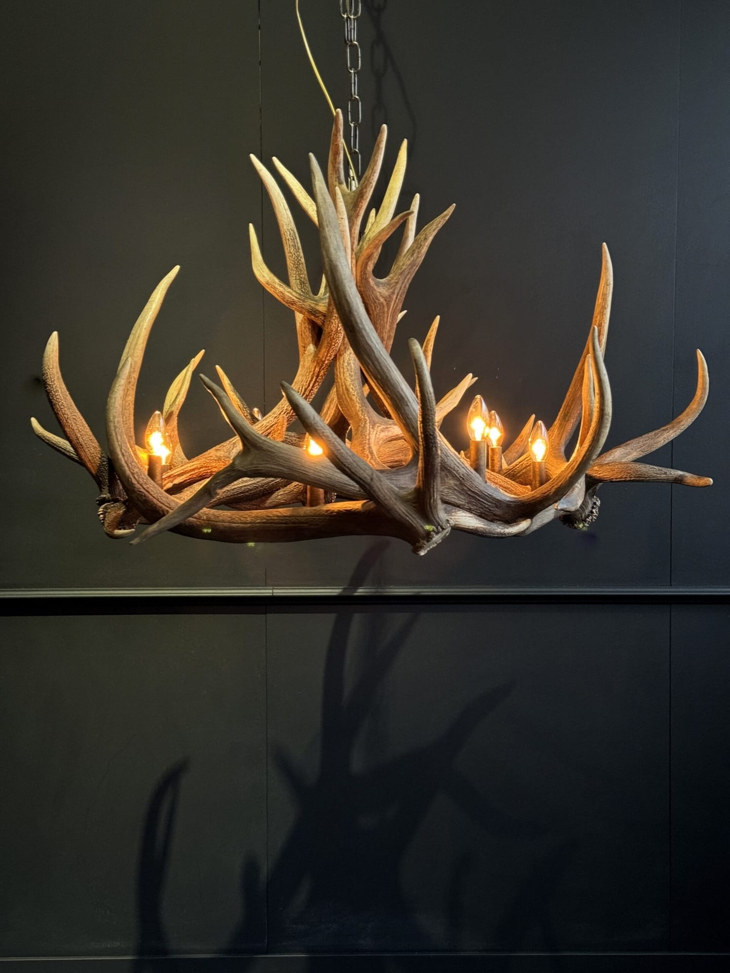 Antler lamp Wapiti