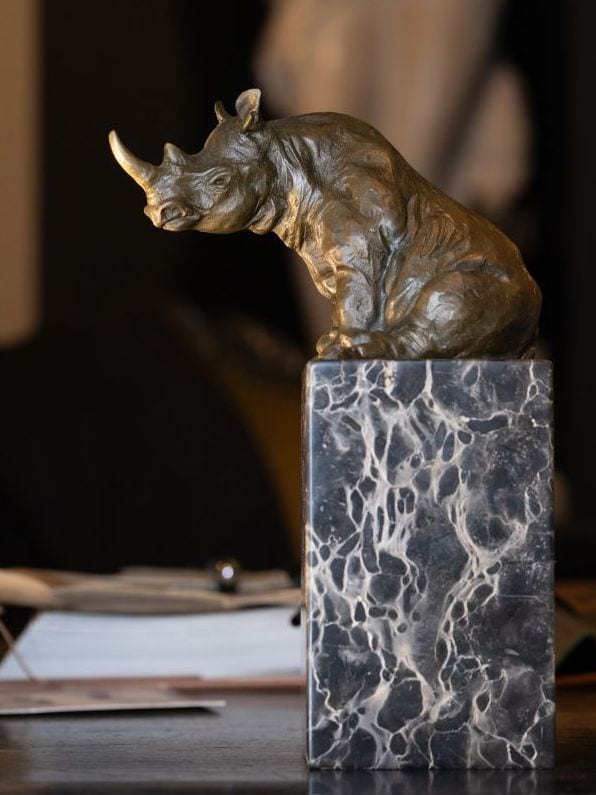 Neushoorn brons