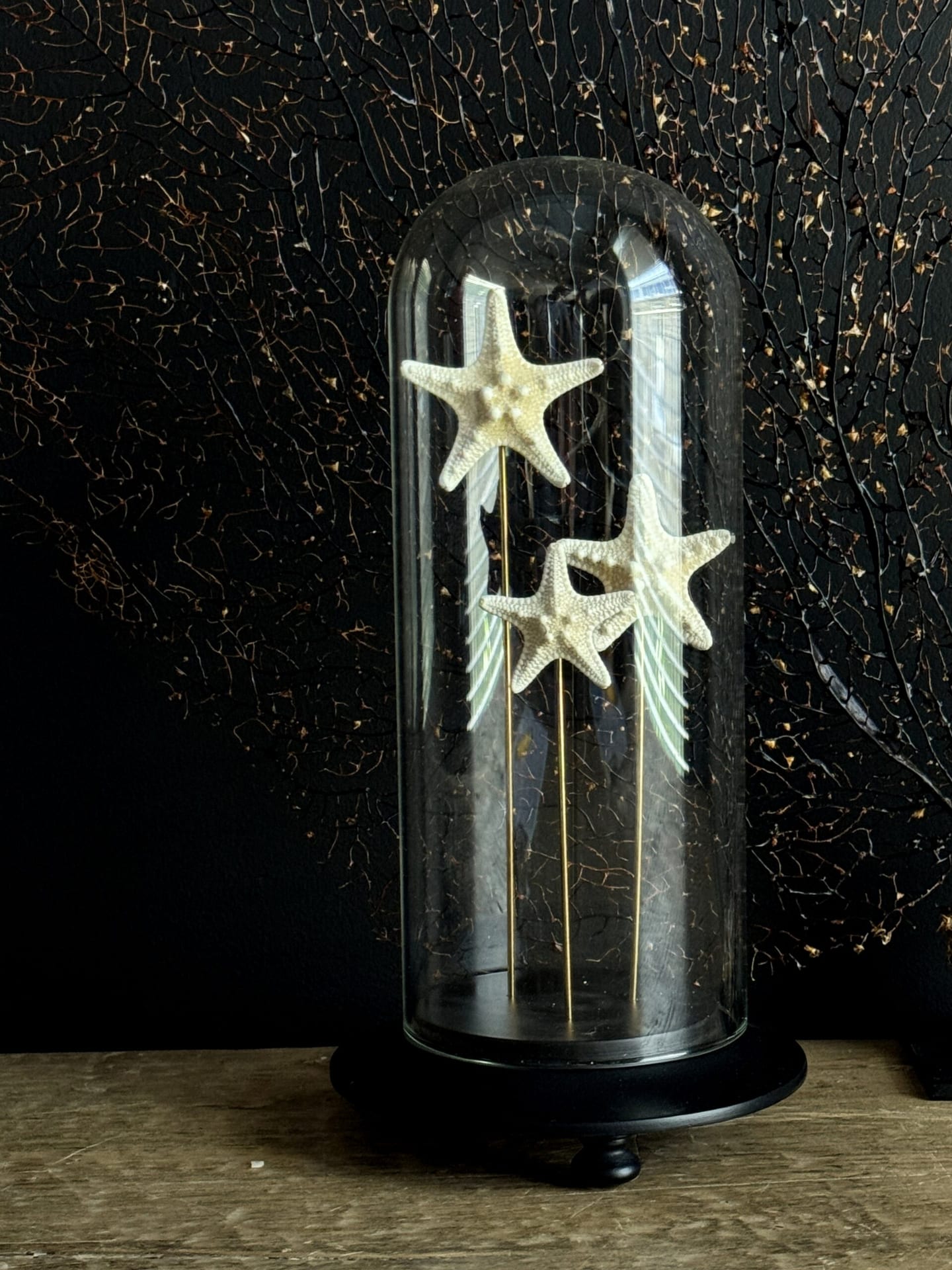 Dome with starfish