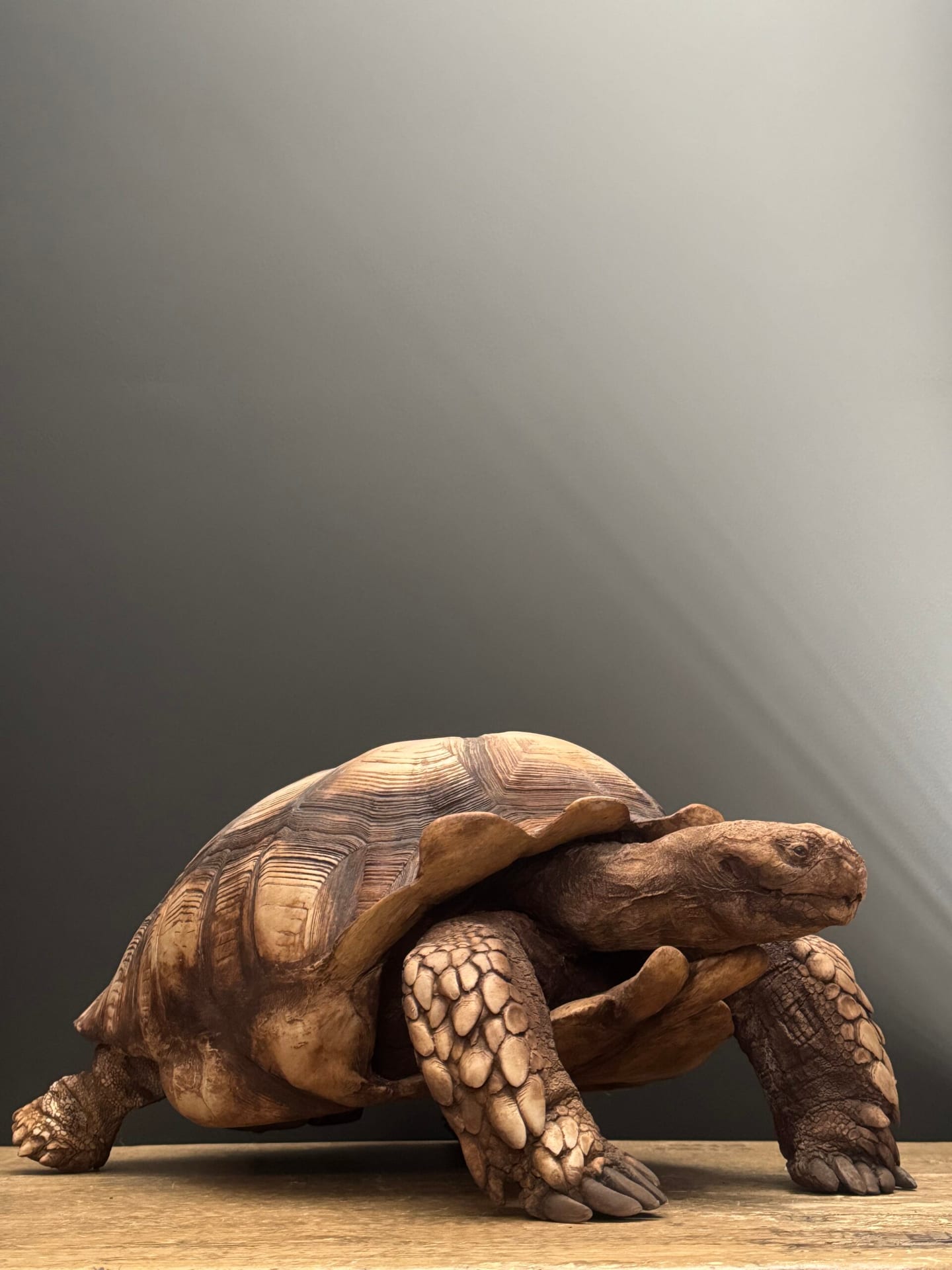 Replik einer Schildkröte