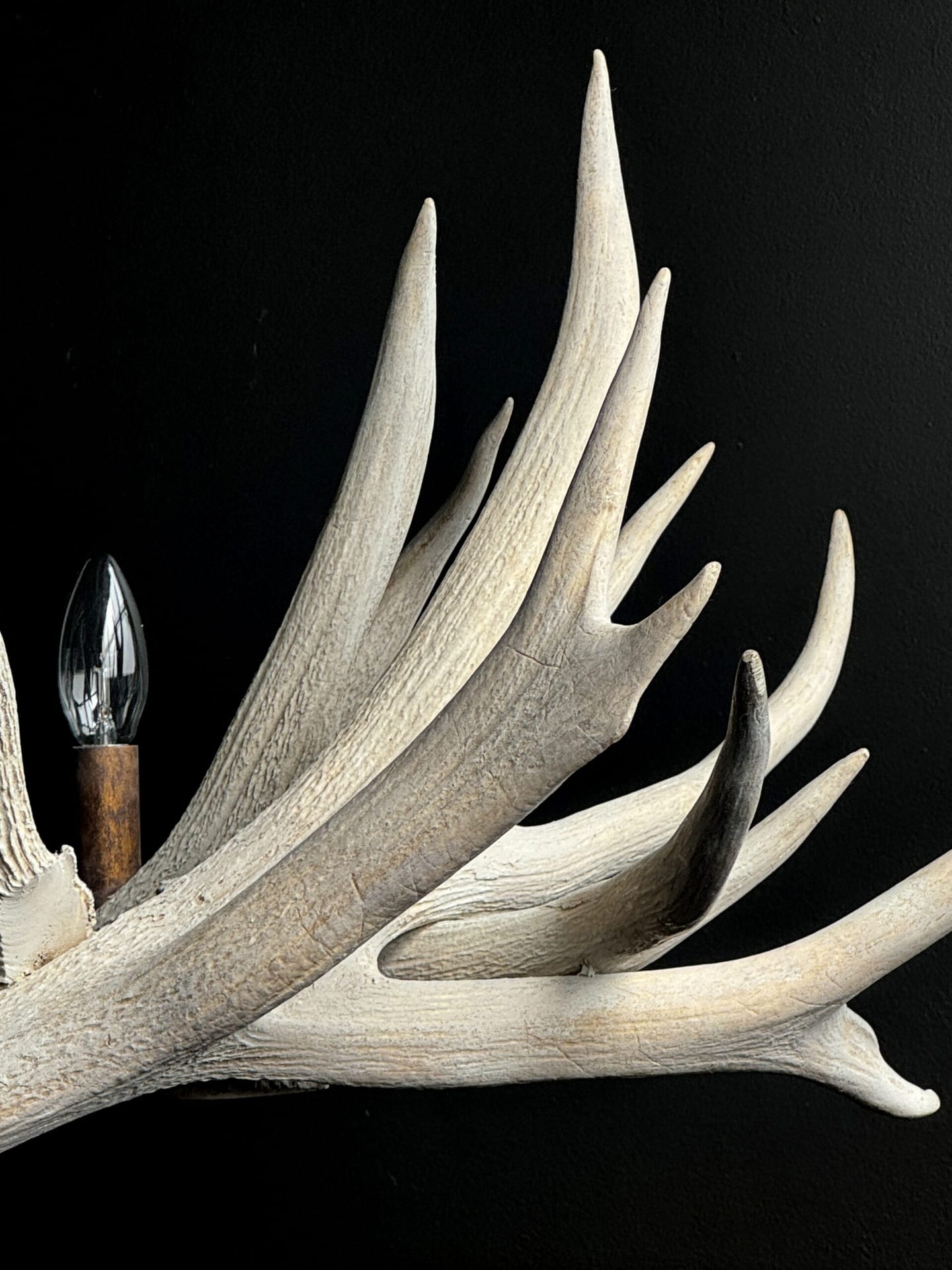 Lamp made of antlers