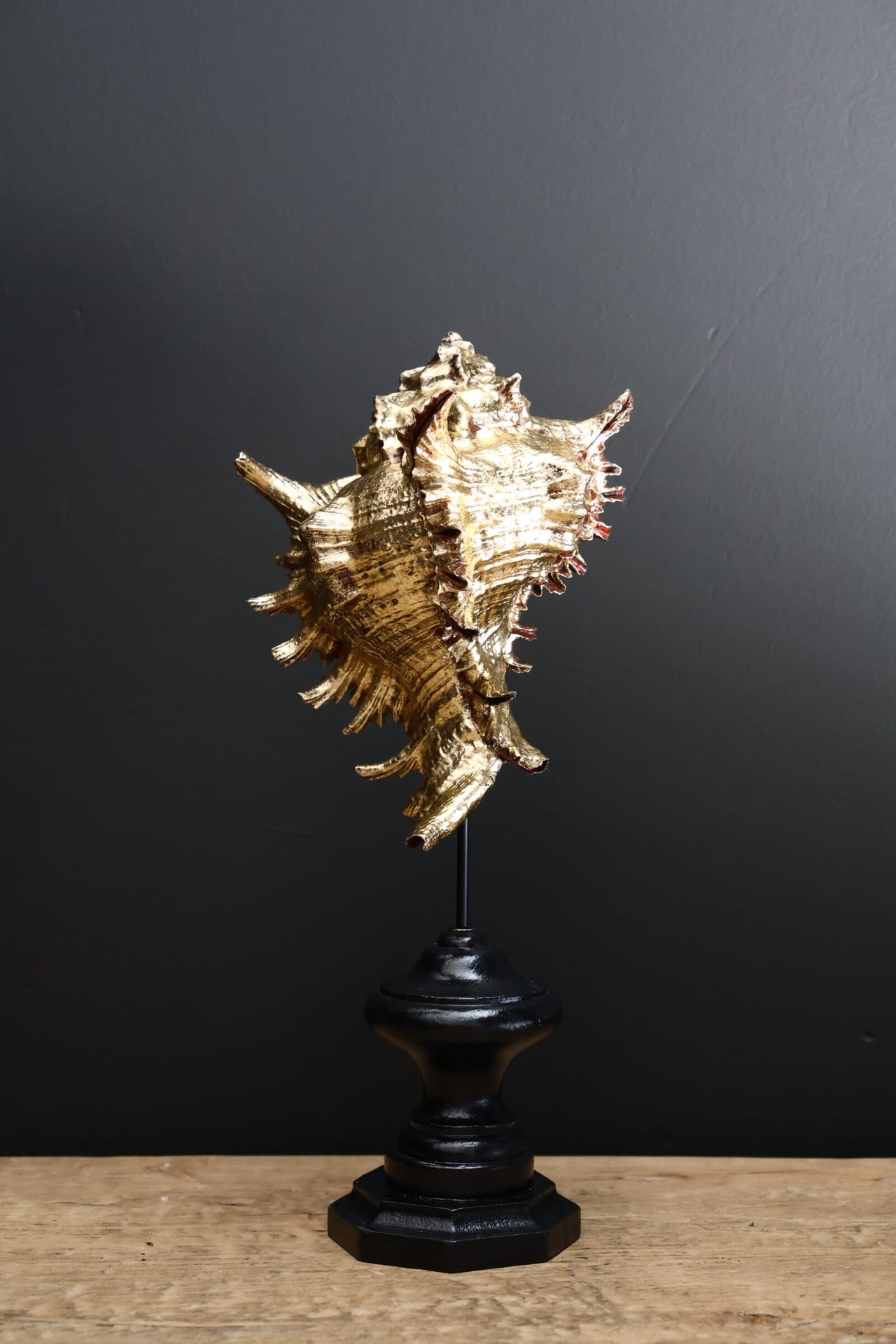 Gouden schelp op sokkel