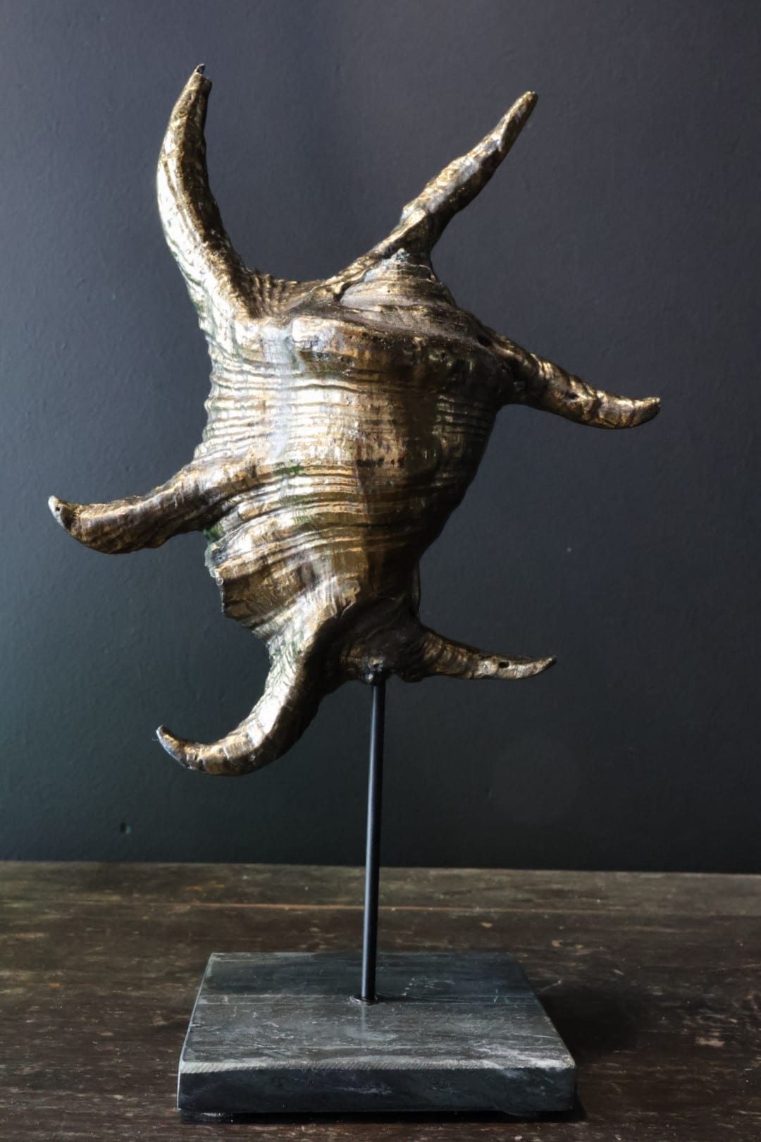 Alt bronze Muschel auf Marmorsockel