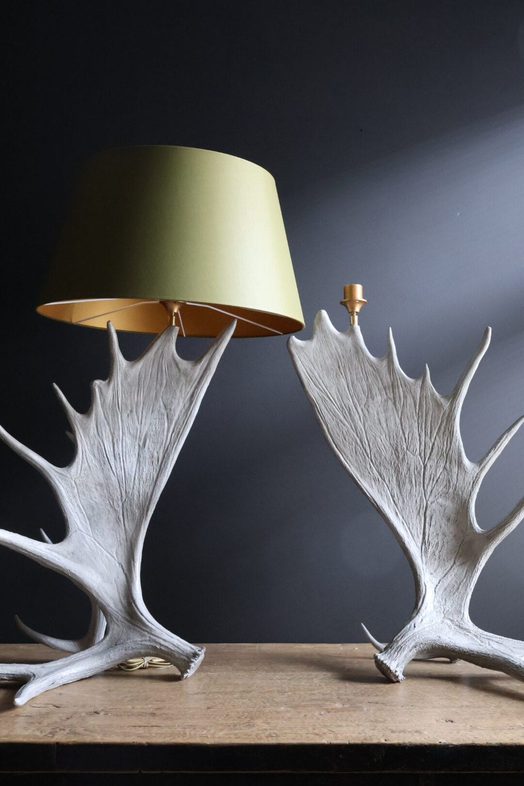 Geweih Lampe Kanadischer Elch