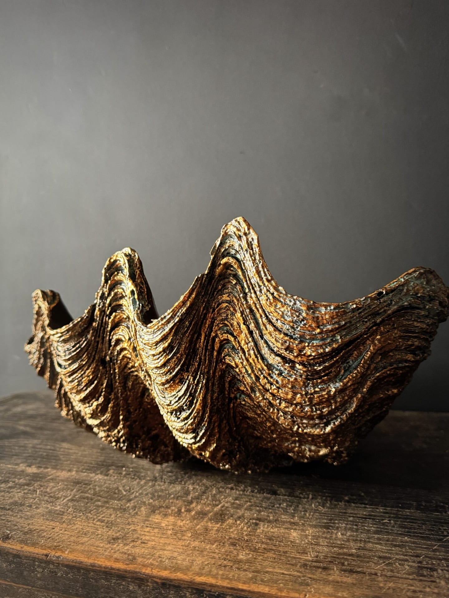Bronze Giant Clam