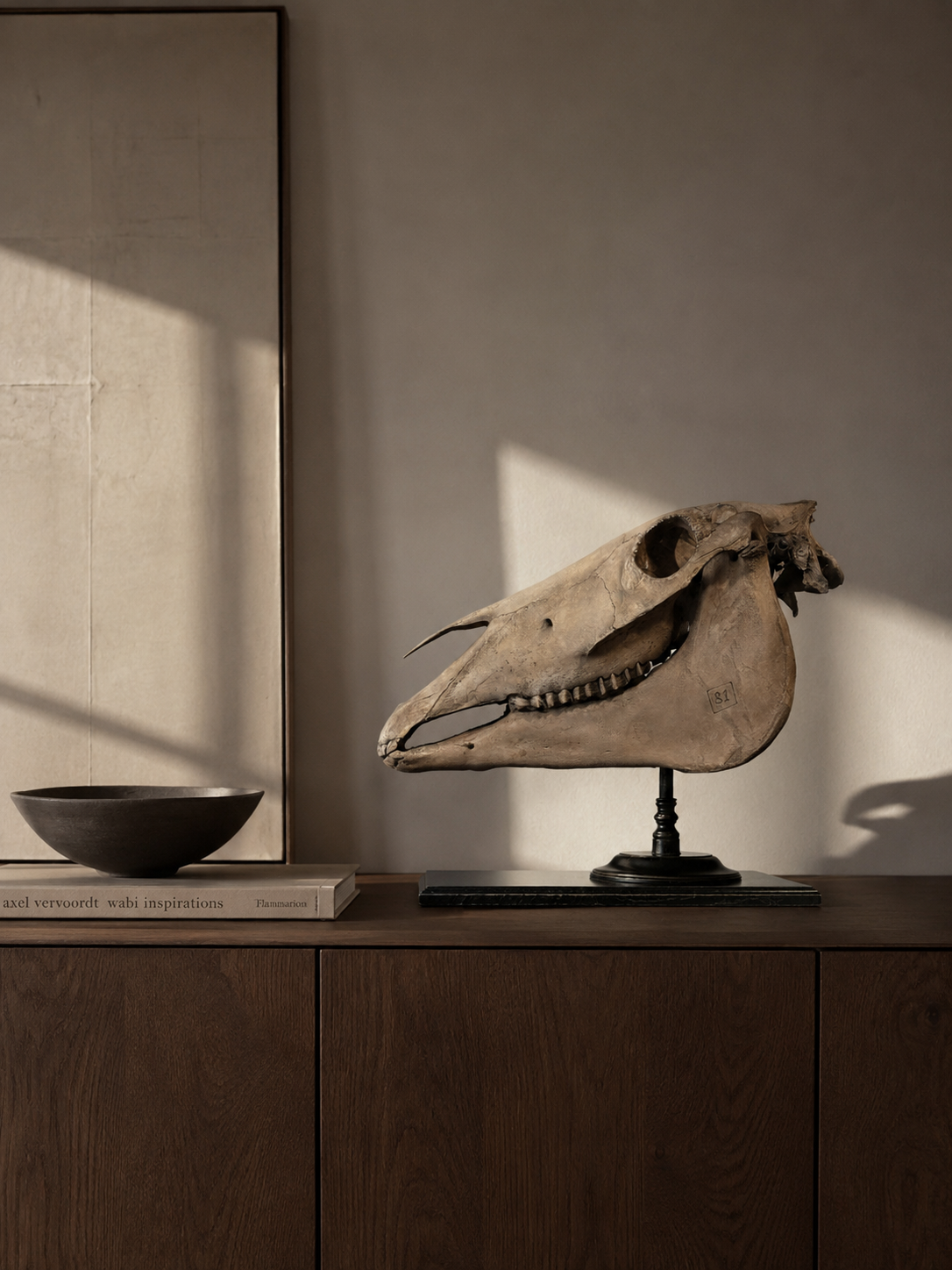 Horse skull Medical artefact