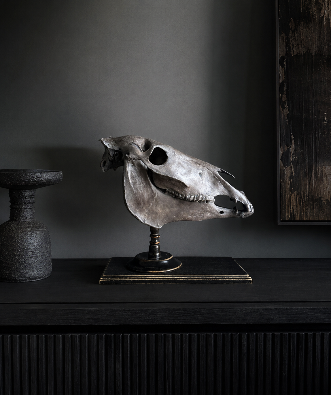 Horse skull Medical artefact
