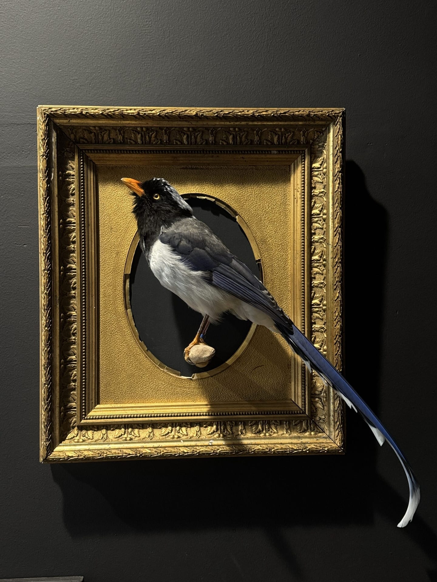 Kunstwerk "Roodsnavel Kitta".