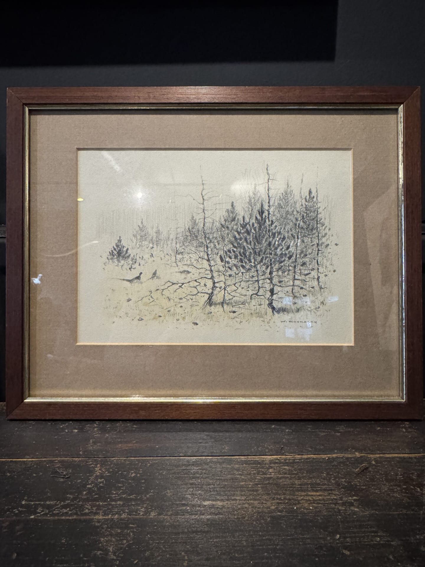Tekening fazanten