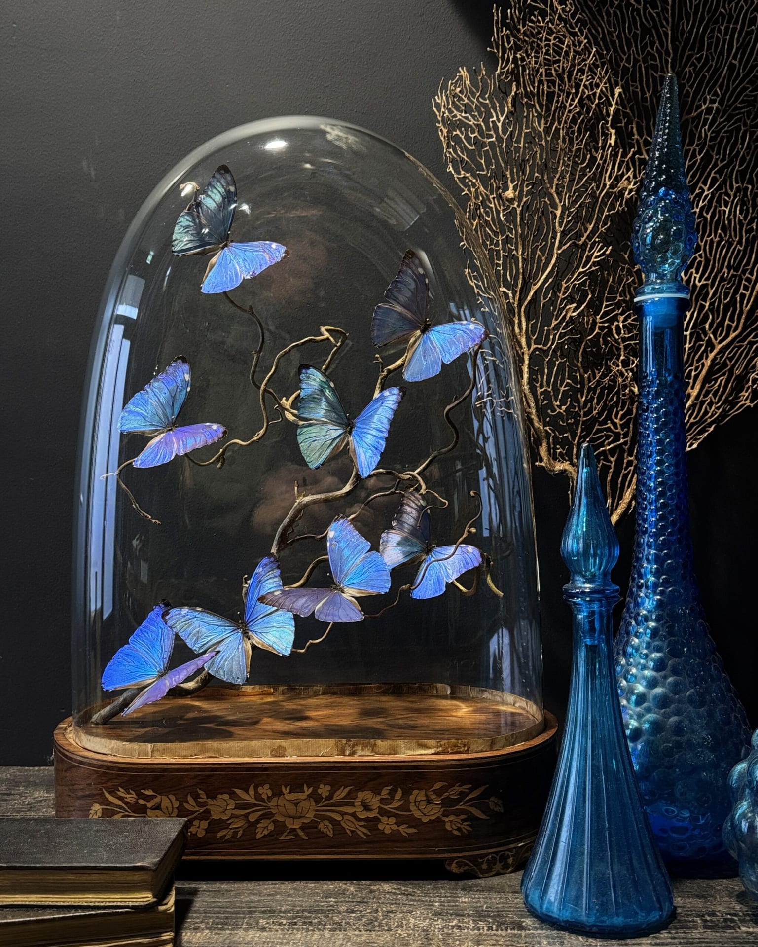 Antique bell jar with butterflies