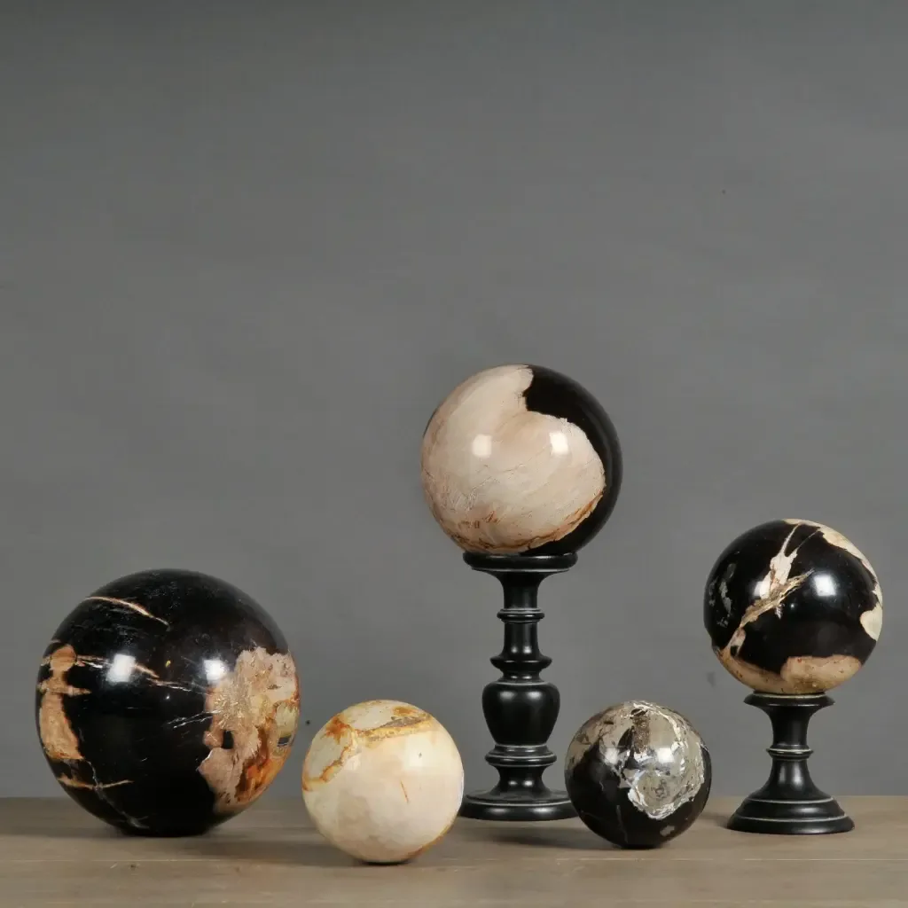 Set van 5 Versteend Houten Ballen